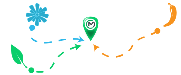 sourcing medaro photo Plan de travail 1 sourcing medaro photo Plan de travail 1