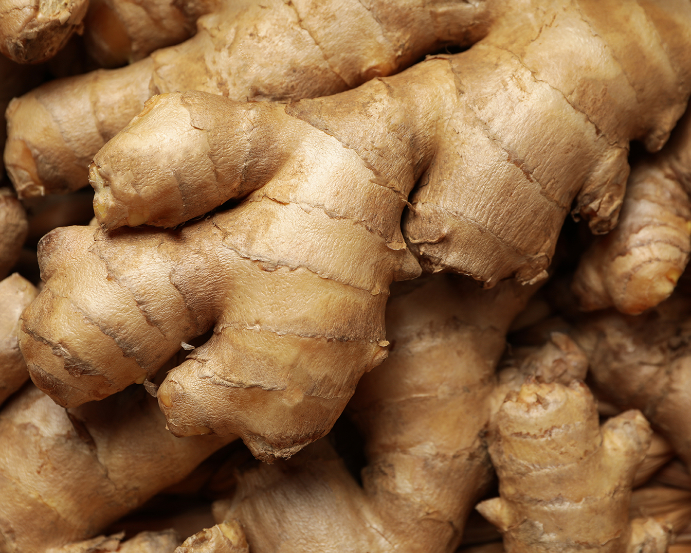 Fresh raw ginger on whole background, close up